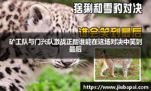 v体育官网新闻